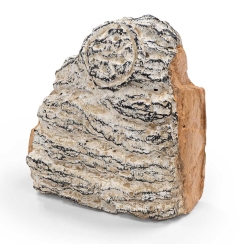 Real Fyre Charred Birch Decorative Wood Chunk