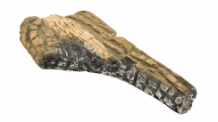 Empire Replacement Front Right Log for DVD42/48 and BVD34/36 Gas Fireplaces