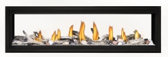 Napoleon 62 Inch See-Thru Luxuria Direct Vent Natural Gas Fireplace