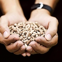 Memphis Grills Apple Flavored Pellets for Pellet Grills