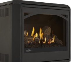 Napoleon Arched Glass Door for Havelock Stoves