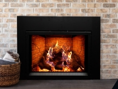 Empire 30 Inch Rainier Premier Direct Vent Fireplace Insert