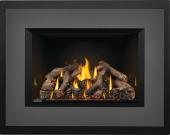 Napoleon Oakville X4 Direct Vent Natural Gas Fireplace Insert - Electronic Ignition