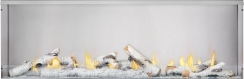 Napoleon 62 Inch Galaxy Natural Gas Fireplace - Electronic Ignition