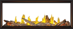 Napoleon 62 Inch See-Through Tall Linear Vector Direct Vent Natural Gas Fireplace