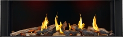 Napoleon 62 Inch Tall Luxuria Bay Front Natural Gas Fireplace - Electronic Ignition