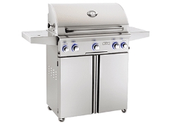 American Outdoor Grill 30 Inch L-Series Portable Propane Grill Package