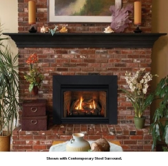 Direct Vent Gas Fireplace Inserts
