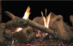 Empire Multi-Sided Traditional Charred Log Set for Rushmore 40 Inch Direct Vent See-Through Fireplaces