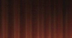 Empire Ridgeback Bronze Liner for 36 Inch Boulevard Gas Fireplaces