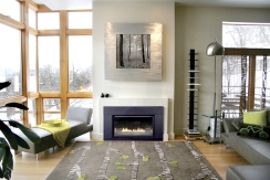 Gas Fireplace Inserts