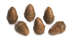 Real Fyre Acorns - AC-6