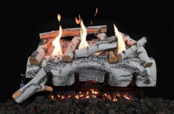 Grand Canyon 24 Inch Aspen White Birch Vent Free Gas Log Set
