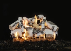 Grand Canyon 30 Inch Quaking Aspen Vented Gas Log Set