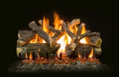 Grand Canyon 36 Inch Arizona Weathered Oak Charred Vented Propane Gas Logs Set and Stainless Steel Two Burner with 110V Electronic System