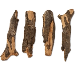 Grand Canyon 4 Piece Quaking Aspen Twig Set