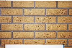Napoleon Decorative Brick Panels for 42 Inch Ascent X Fireplace