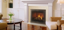 Majestic Contemporary Rectangular Door for 36 Inch Meridian Fireplaces