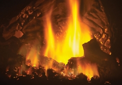 Napoleon Ambient-Glow Fireplace Embers - Pack of 50