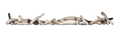 Napoleon Birch Log Kit - For Use With 74 Inch Fireplaces