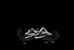 Napoleon Birch Log Set for 42 Inch Elevation X Fireplaces