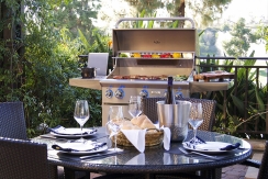 Natural Gas Grills