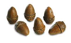 Real Fyre 6 Acorns