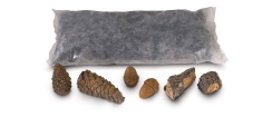 Real Fyre Case of 6 Ambiance Decor Packs