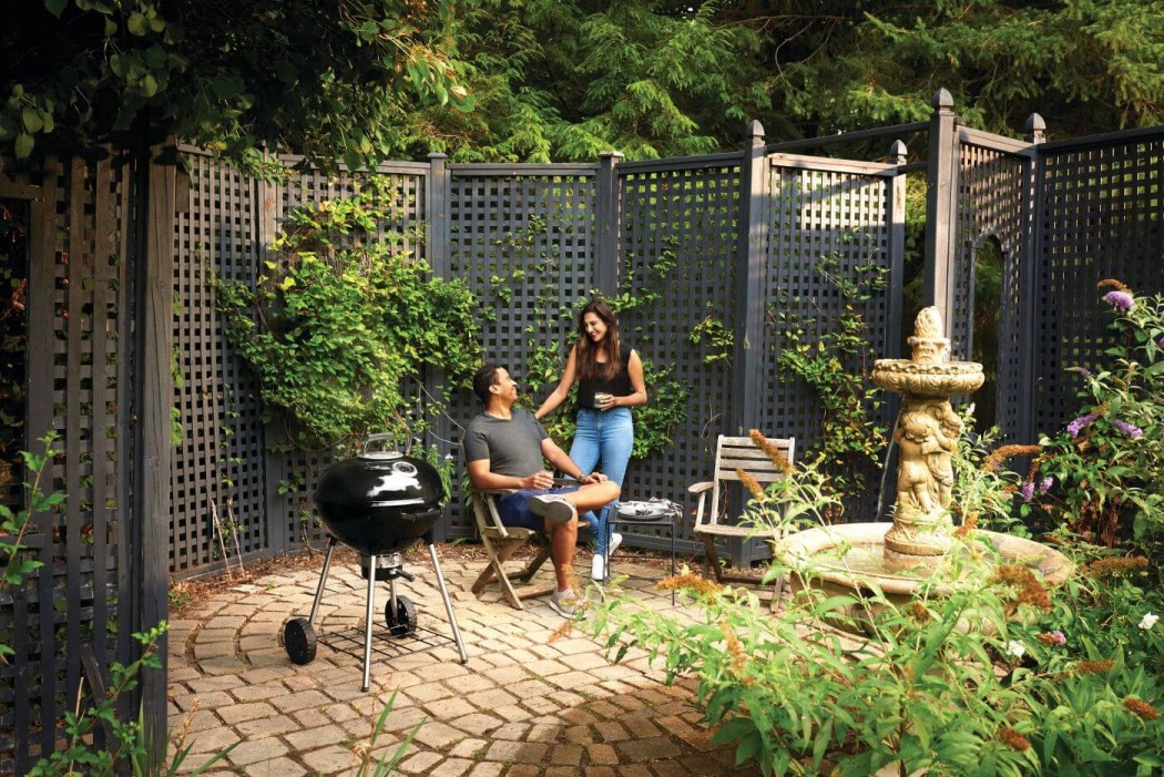 Napoleon Grills 22 Inch Black Charcoal Kettle Grill