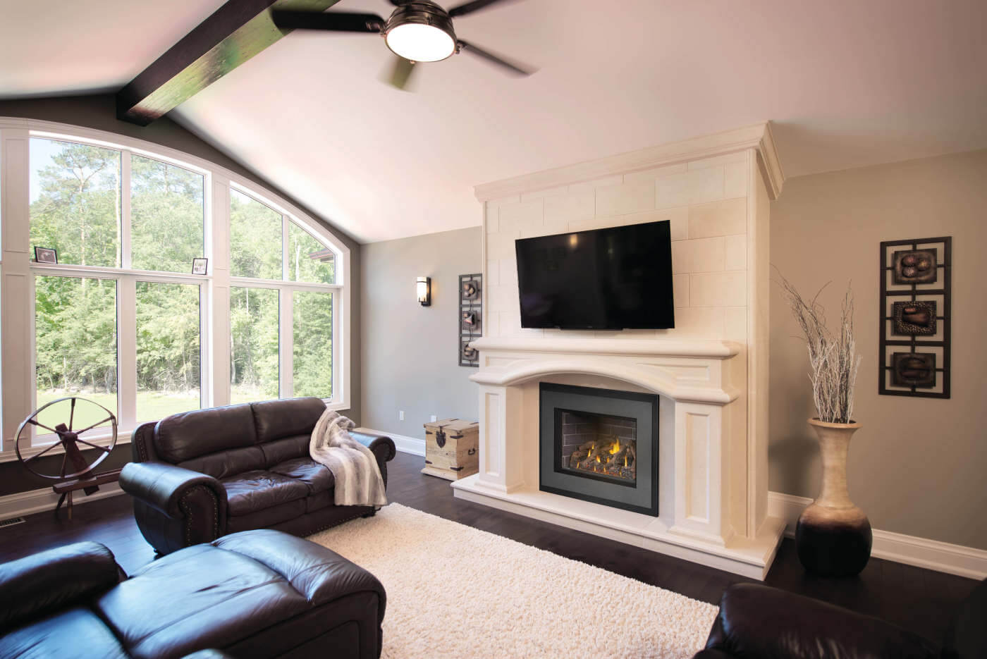 Napoleon Oakville X4 Direct Vent Natural Gas Fireplace Insert - Electronic Ignition