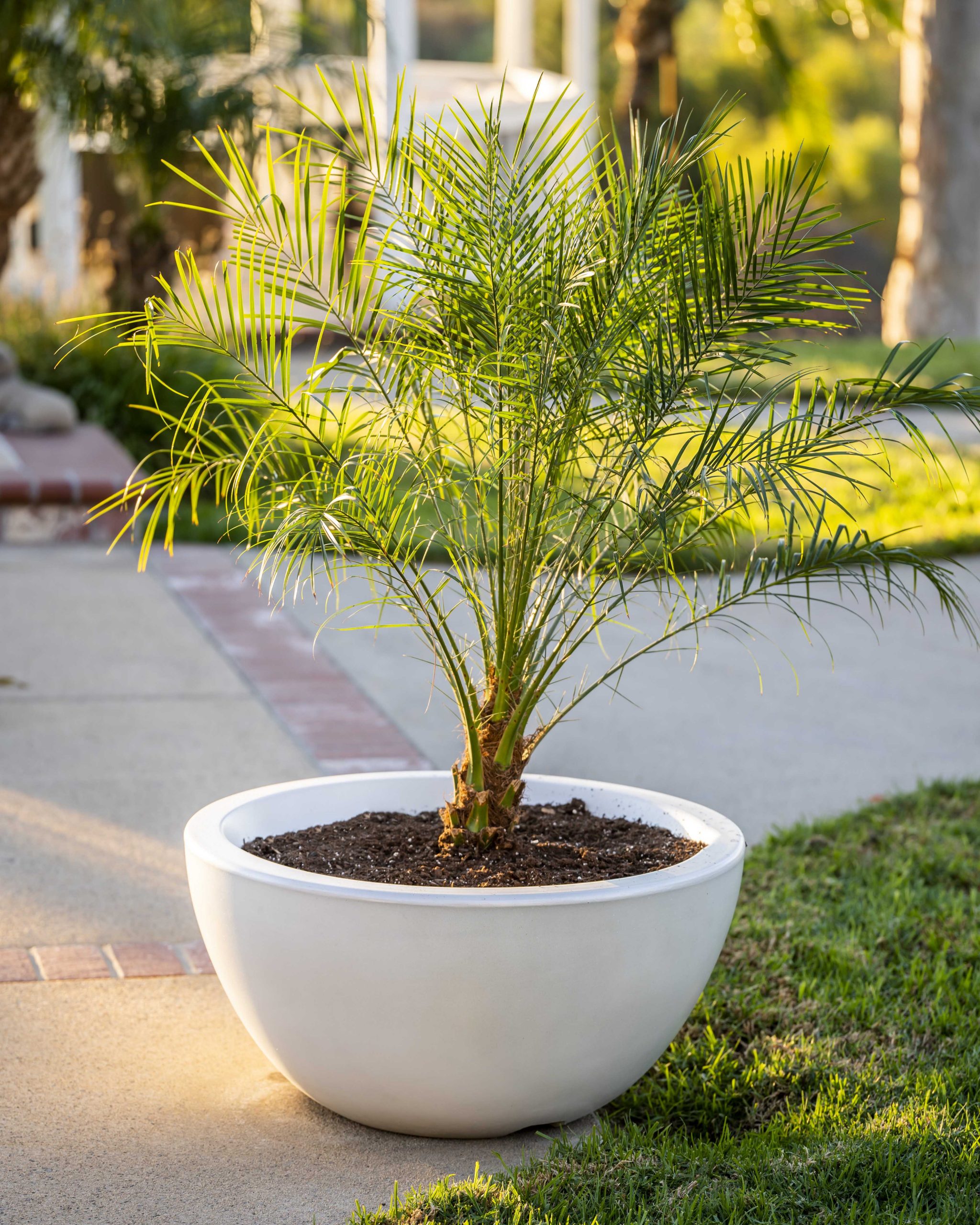 The Outdoor Plus 38 Inch GFRC Luna Planter Bowl