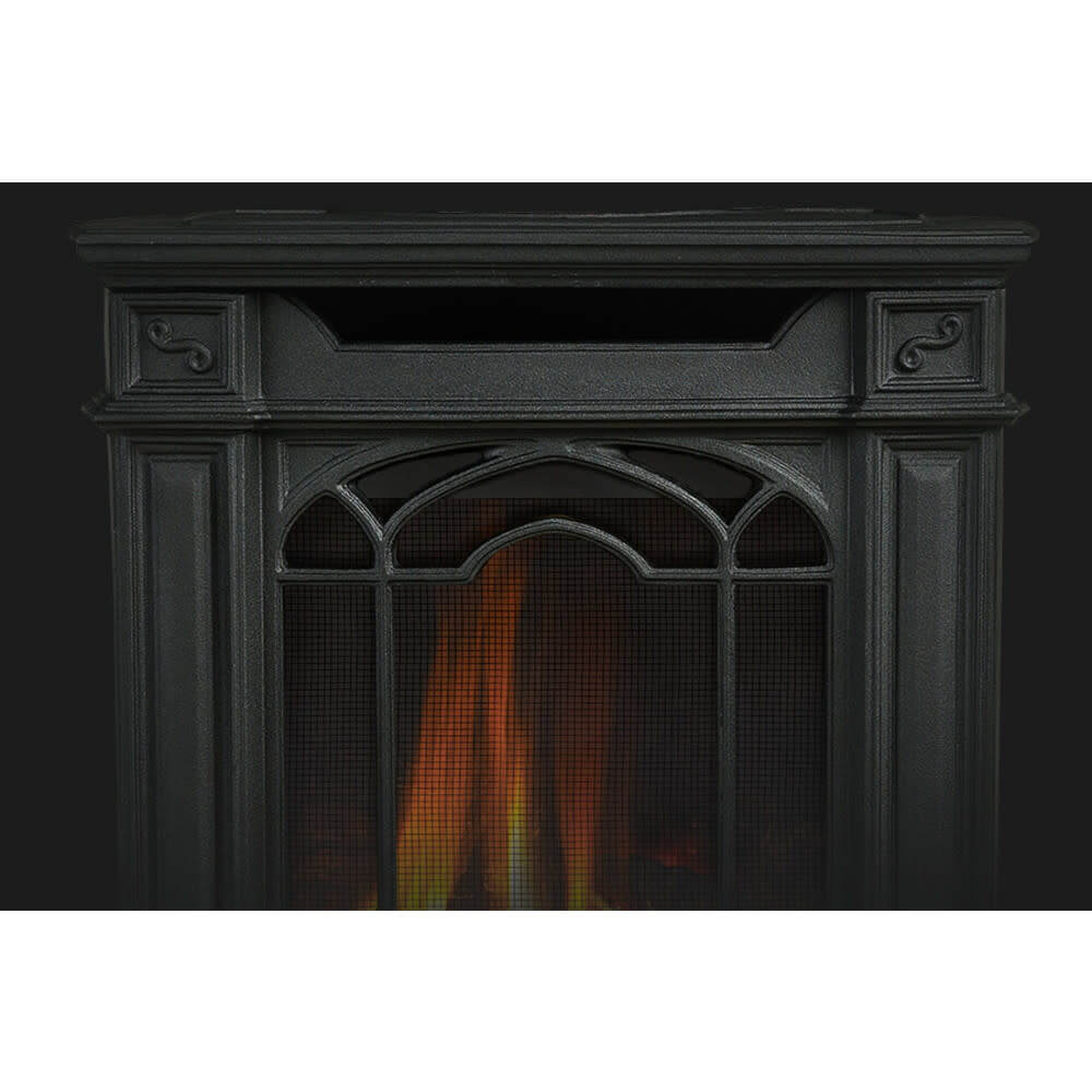 Napoleon Arlington Direct Vent Natural Gas Heating Stove - Electronic Ignition