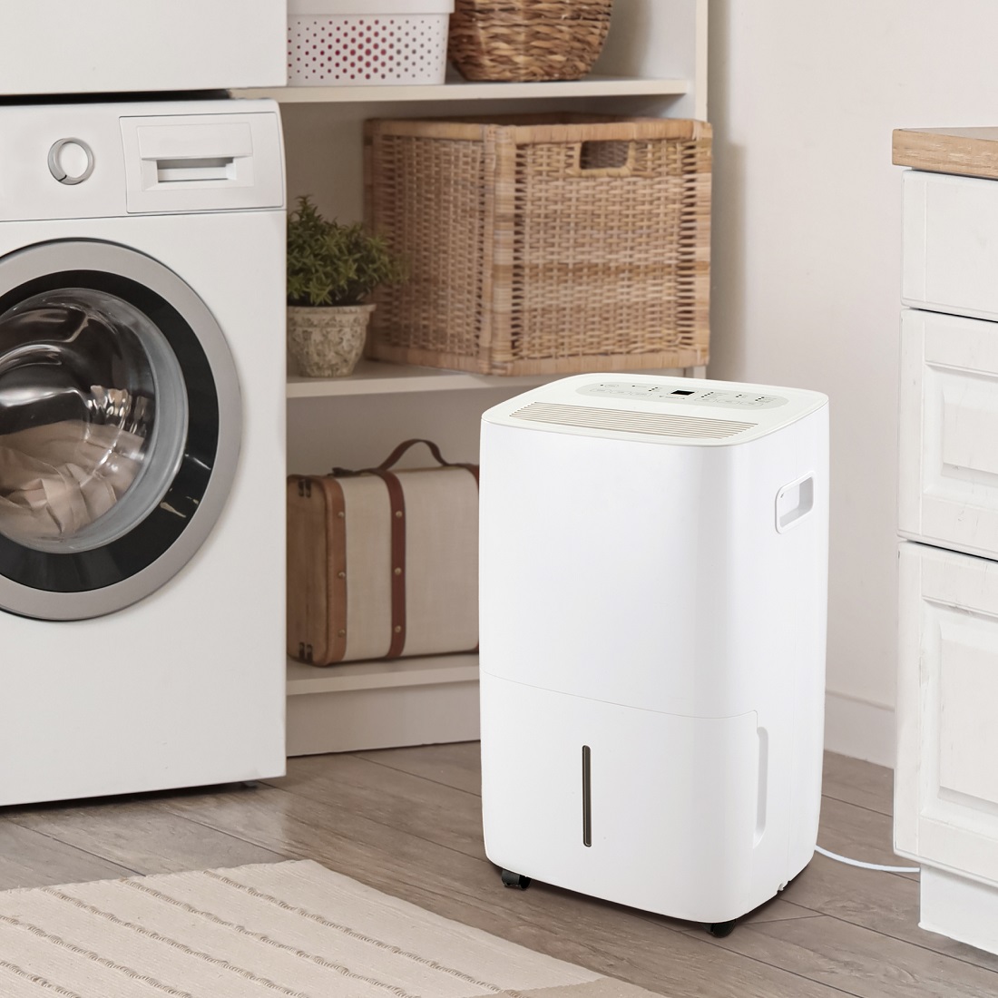 JHS 50 Pint Dehumidifier with Built-In Pump