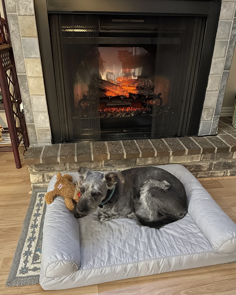 Dimplex 25 Inch Revillusion Electric Fireplace Logs