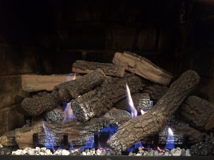 Empire 24" Ponderosa Refractory Ventless Natural Gas Log Set and Intermittent Slope Glaze Burner