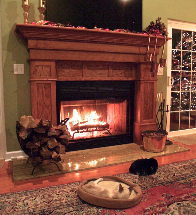 Superior/IHP 42 Inch Black Extruded Aluminum Bi-Fold Glass Doors