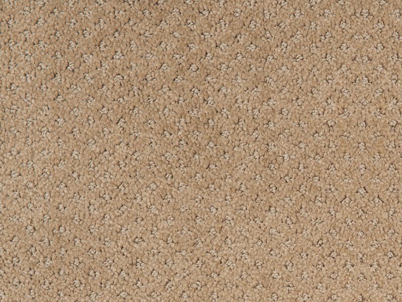 Goods of the Woods 6 Foot River Hearth Rug