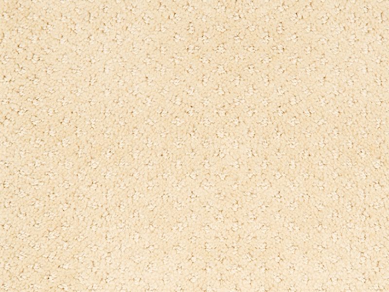 Goods of the Woods 4 Foot Stream Hearth Rug