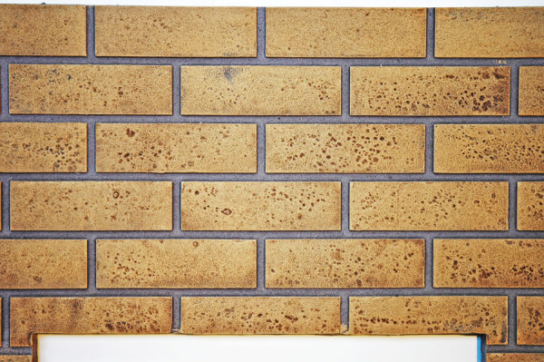 Napoleon Decorative Brick Panels for 36 Inch Ascent Fireplace