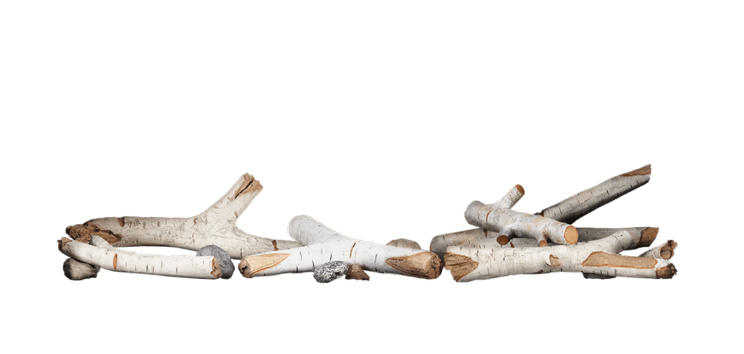 Napoleon Media Tray and Birch Log Kit - For 38" Acies Fireplaces