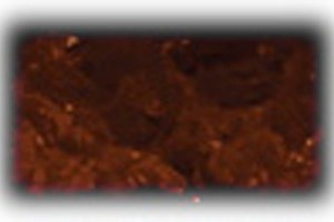 Napoleon 5 lb Media Kit