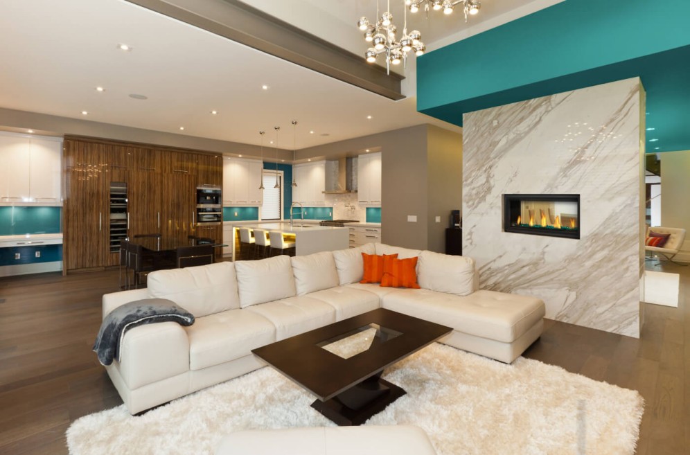 Napoleon 38 Inch See-Through Vector Direct Vent Linear Gas Fireplace - Electronic Ignition