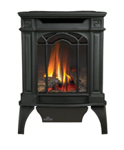 Napoleon 19 Inch Arlington Direct Vent Gas Heating Stove (Small)