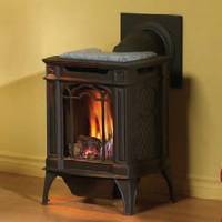 Napoleon 19 Inch Arlington Direct Vent Gas Heating Stove (Small)