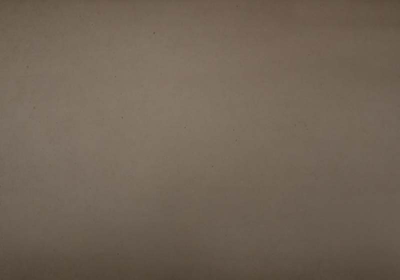 Napoleon High Country Low Mass Wood Burning Fireplace - NZ8000