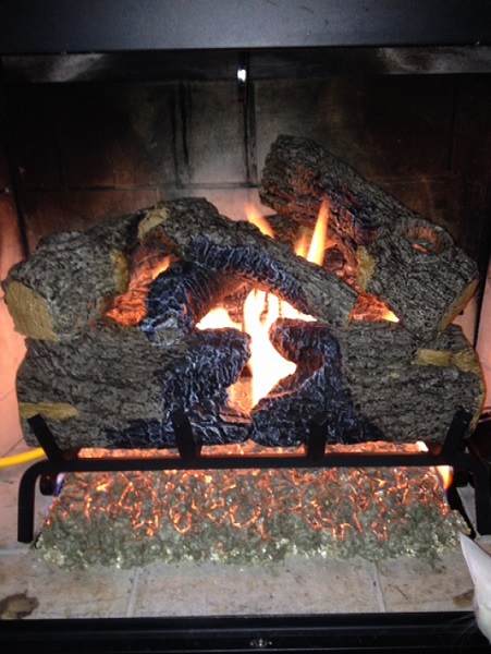 Real Fyre 18" Charred Oak Vented Propane Gas Logs Set with Safety Pilot Kit