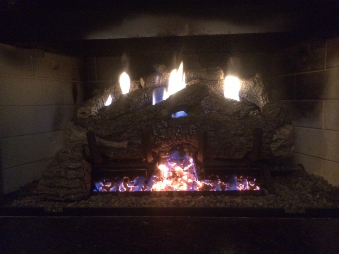 Real Fyre 24" Charred Frontier Oak Ventless Natural Gas Logs Set with Variable Flame Remote Pilot Kit