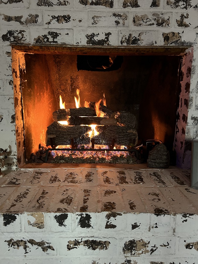 Real Fyre 24" Charred Oak Vented Propane Gas Logs Set with Variable Flame Automatic Pilot Kit