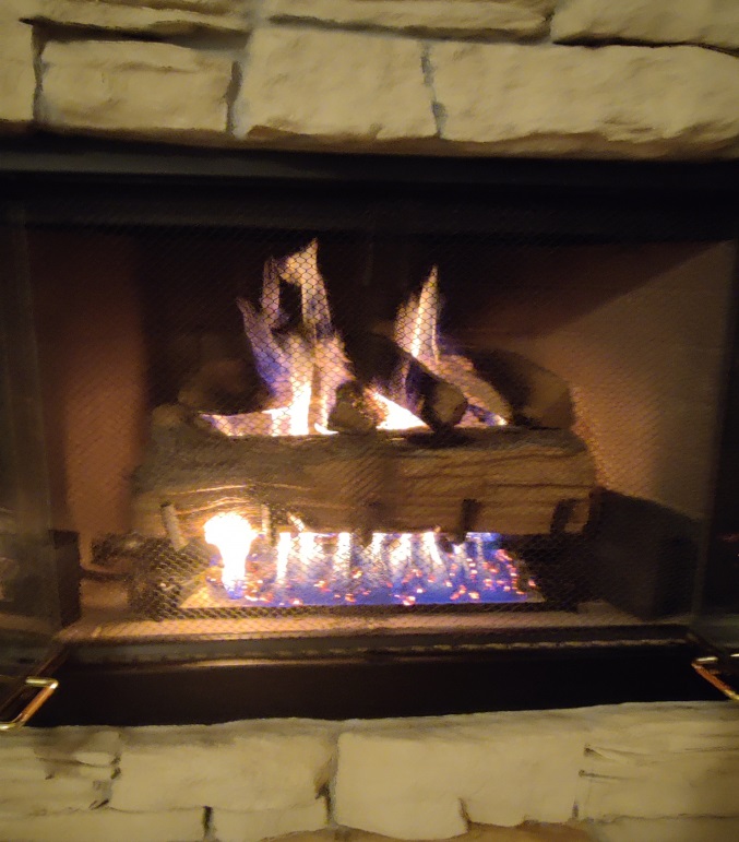 Real Fyre 24" Split Oak Vented Natural Gas Logs Set with Electronic Pilot Kit