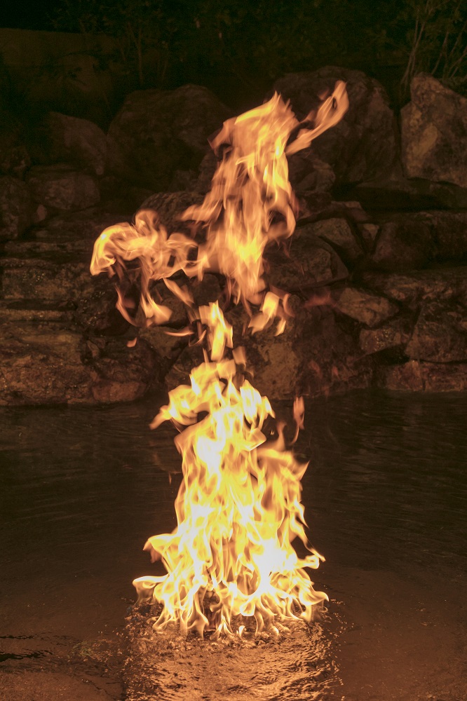 Fire By Design Field Serviceable Submersible Gas Fire Pit Electronic Ignition System - 30 VDC